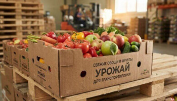 Упаковка для агропрома: как сохранить урожай при транспортировке